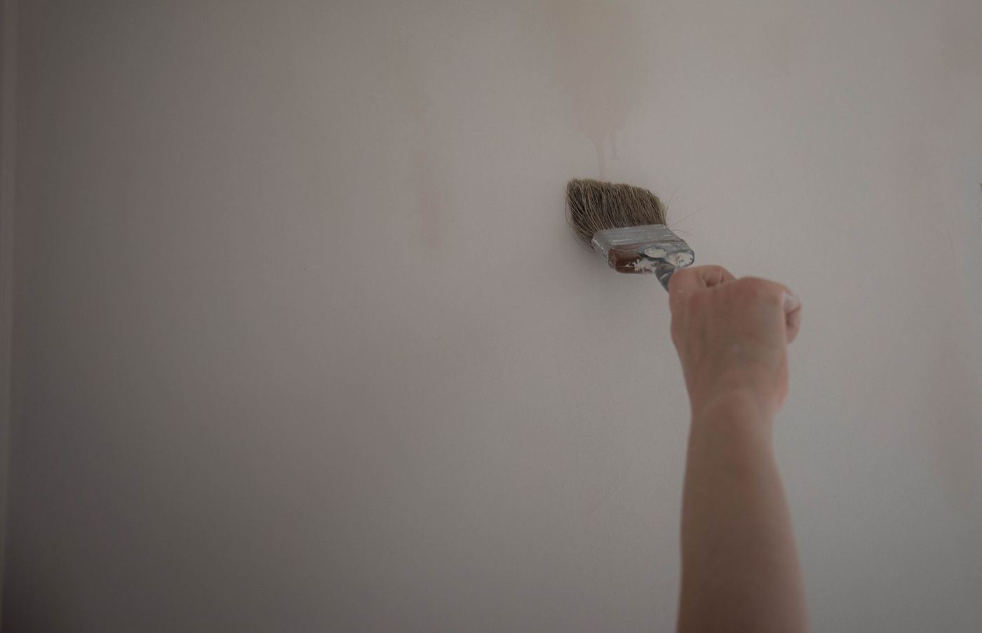 Painting & Decorating in Forest Hill — recent work
